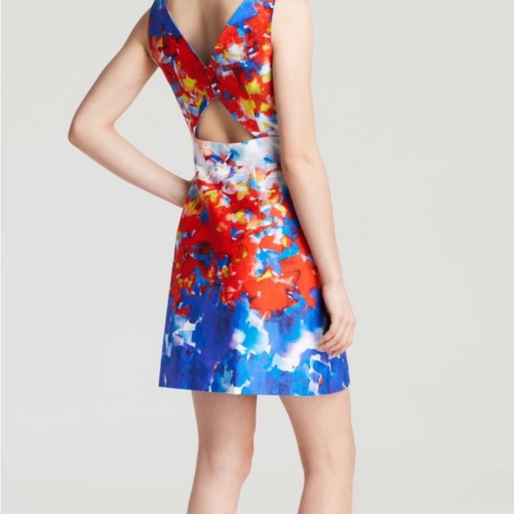 Milly Watercolor Dress